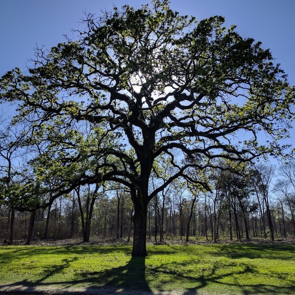 Meet your Posher, M - Picture 1 of 1